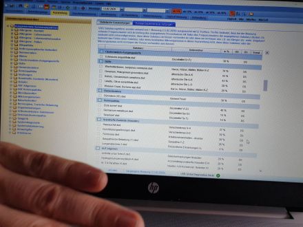 Mobile Praxis für Pferde und Hunde
