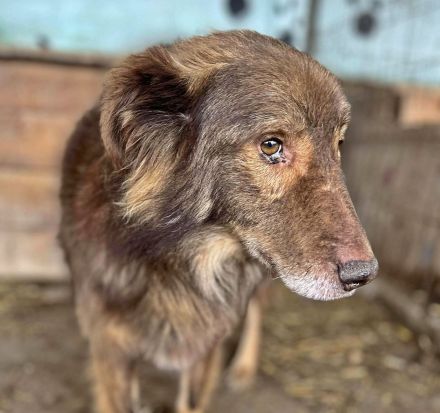 Louie, etwas unsicher