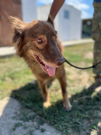 Louie, etwas unsicher