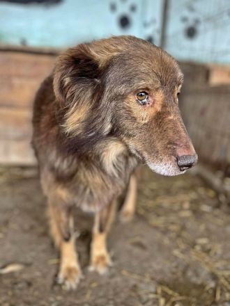 Louie, etwas unsicher