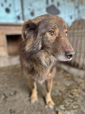 Louie, etwas unsicher