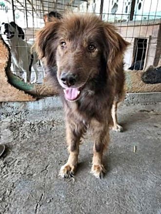 Louie, etwas ängstlich