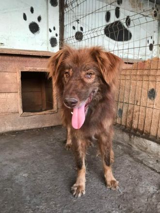 Louie, etwas ängstlich