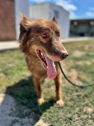 Louie, etwas unsicher