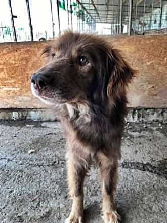 Louie, etwas ängstlich