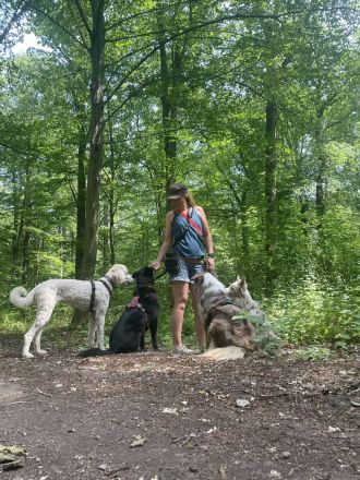 Professioneller Dogwalk • Hundebetreuung Vierbeinerpfad