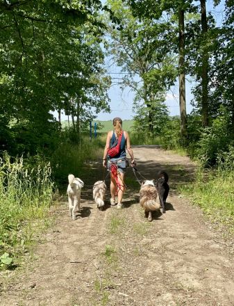 Professioneller Dogwalk • Hundebetreuung Vierbeinerpfad