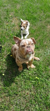 Snickers sucht traumplatz