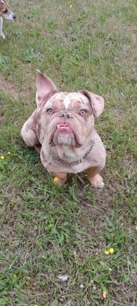 Snickers sucht traumplatz