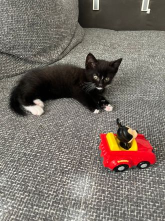 BKH/BLH Abgabe 15.07.23