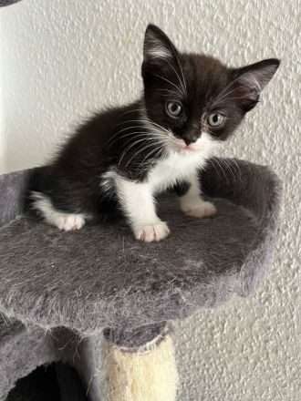 BKH/BLH Abgabe 15.07.23