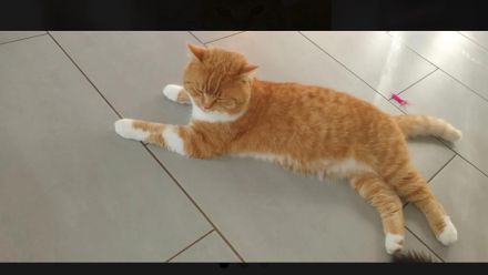 BKH/BLH Abgabe 15.07.23