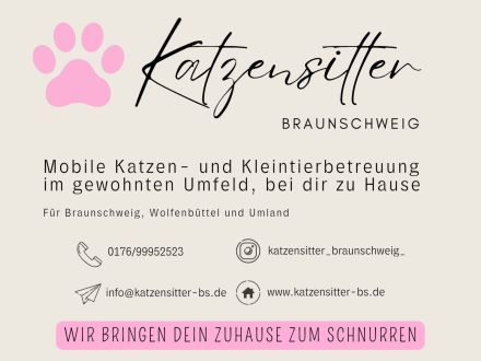 Katzensitter Braunschweig