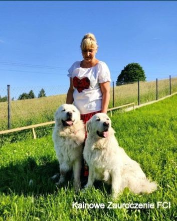 Kalinowe Zauroczenie FCI