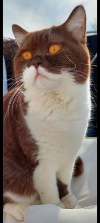 BKH Mädchen mit Vater