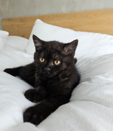 BKH Mädchen mit Vater