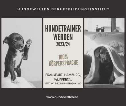Hundetrainer Ausbildung