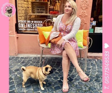 Mops Welpen sind da! 2x Mädchen & 2x Jungs