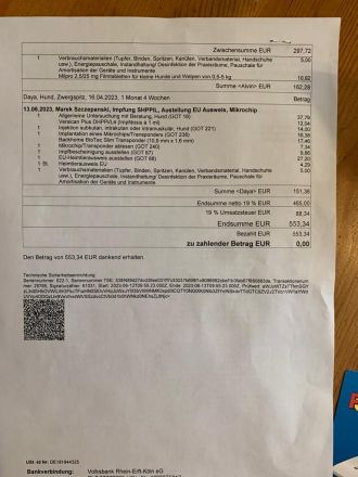 Wunderschöner Reinrassiger Zwergspitz Welpe, 5 Monate, ab sofort auszugbereit!