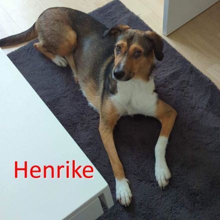 HENRIKE ❤️