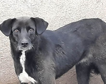 Bist du Minas sicherer Hafen?