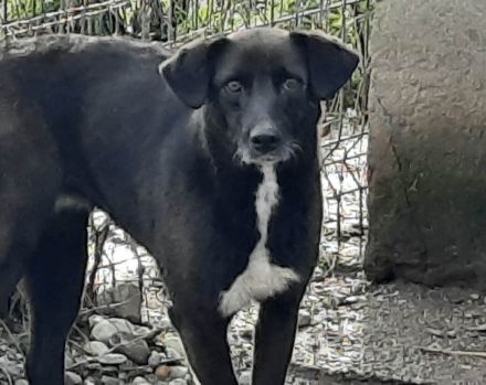 Bist du Minas sicherer Hafen?