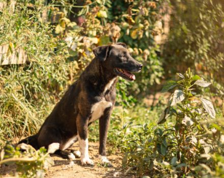 Bist du Minas sicherer Hafen?