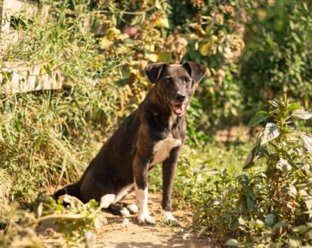 Bist du Minas sicherer Hafen?