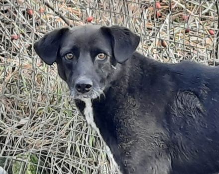 Bist du Minas sicherer Hafen?