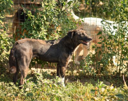 Bist du Minas sicherer Hafen?