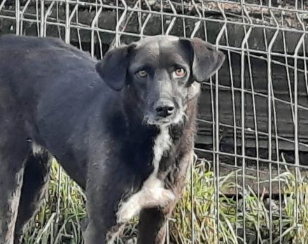 Bist du Minas sicherer Hafen?