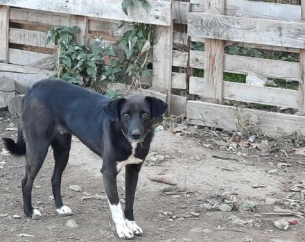 Bist du Minas sicherer Hafen?