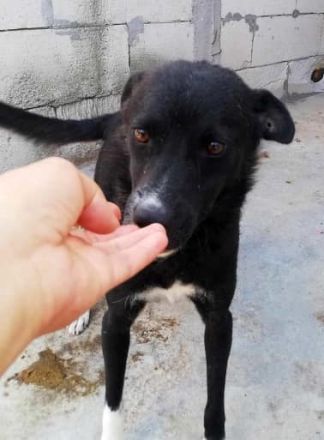 Nicky sucht erfahrene Menschen