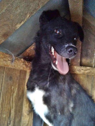 Nicky sucht erfahrene Menschen