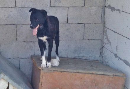 Nicky sucht erfahrene Menschen