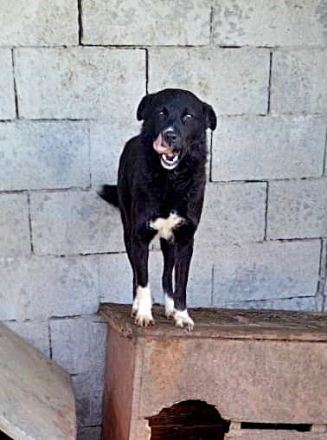 Nicky sucht erfahrene Menschen