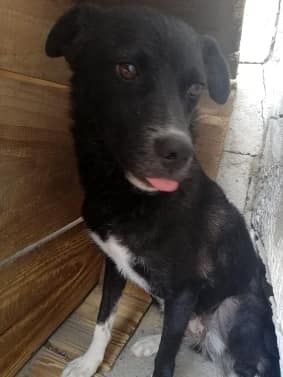 Nicky sucht erfahrene Menschen