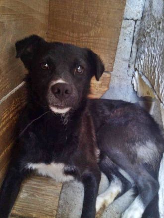 Nicky sucht erfahrene Menschen