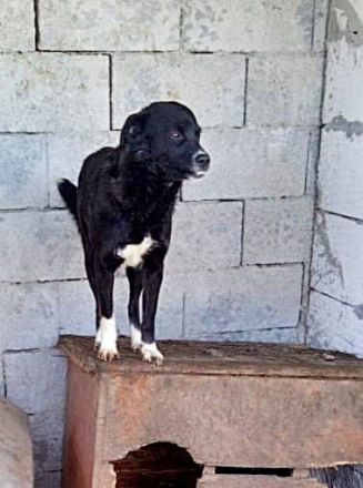 Nicky sucht erfahrene Menschen