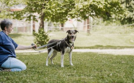Aleksi hat seine Koffer schon gepackt
