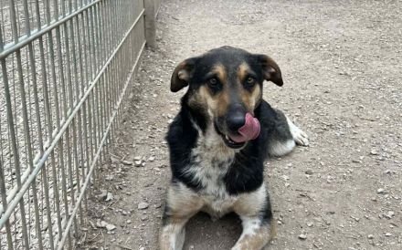 Aleksi hat seine Koffer schon gepackt