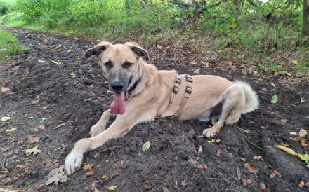 Gibst du Max eine Chance auf ein neues Leben?