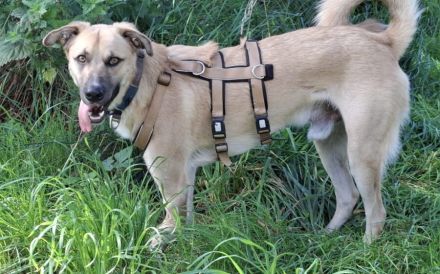 Gibst du Max eine Chance auf ein neues Leben?