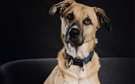 Gibst du Max eine Chance auf ein neues Leben?