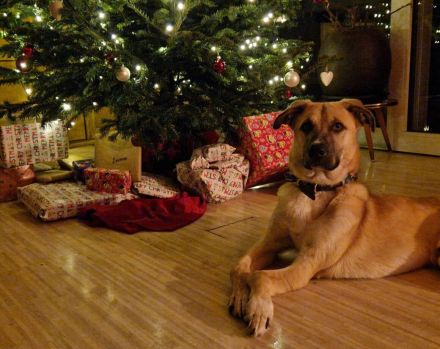 Gibst du Max eine Chance auf ein neues Leben?