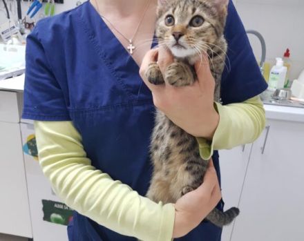 Summer möchte dein Herz erwärmen