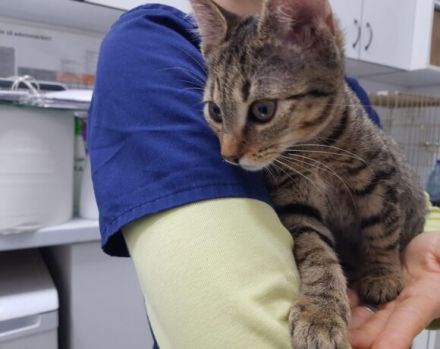 Summer möchte dein Herz erwärmen