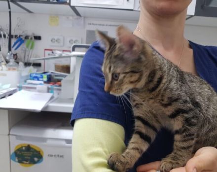 Summer möchte dein Herz erwärmen