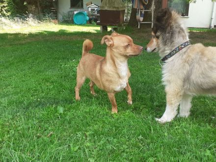 Flo möchte gerne entlich ankommen