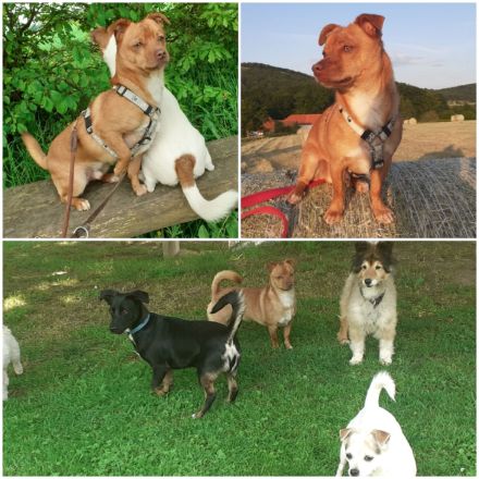 Flo möchte gerne entlich ankommen